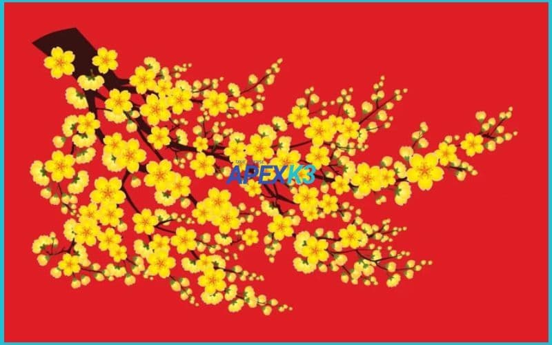 Vẽ Hoa Mai Vector Illustrator Dễ Hiểu Chuẩn Tết
