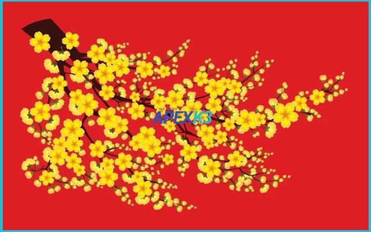 Vẽ Hoa Mai Vector Illustrator Dễ Hiểu Chuẩn Tết