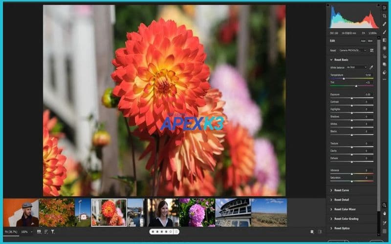Mở Camera Raw trong Photoshop chi tiết nhanh gọn