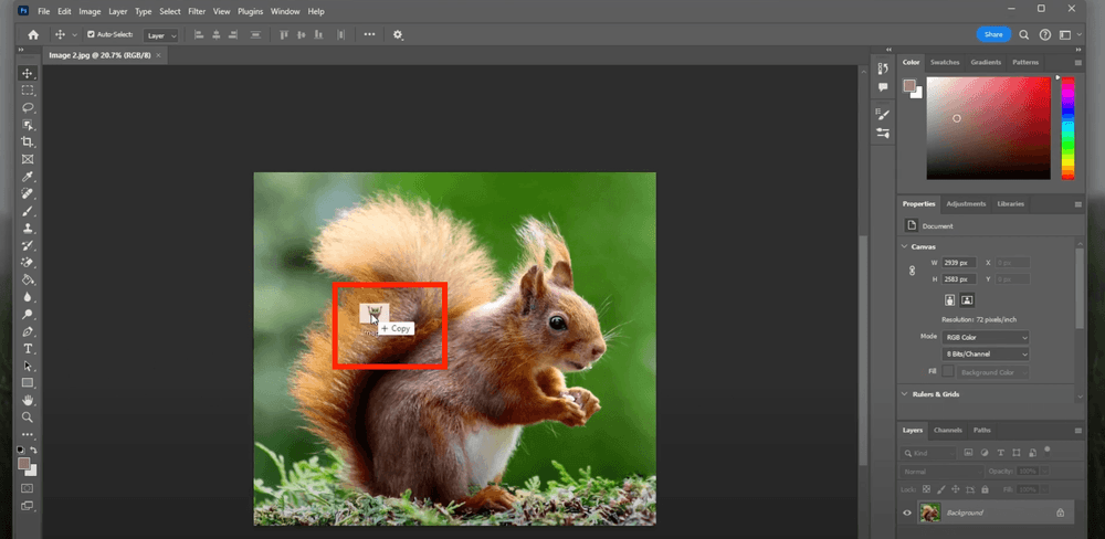 Hướng Dẫn Thêm Ảnh Vào Photoshop Nhanh Và Chuẩn