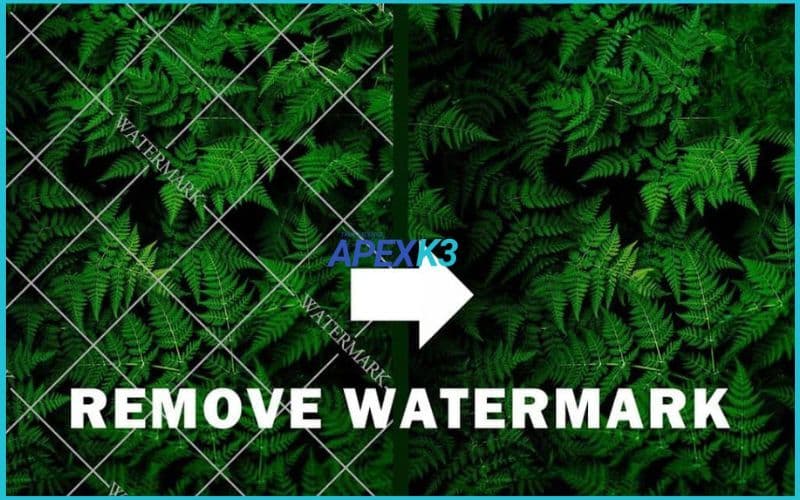 Xóa Watermark Bằng Photoshop