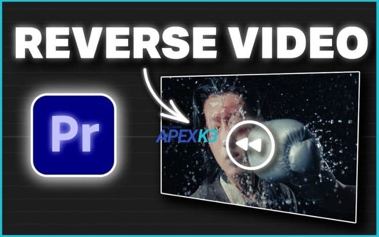 Tua Ngược Video Trong Premiere Chuyên Nghiệp