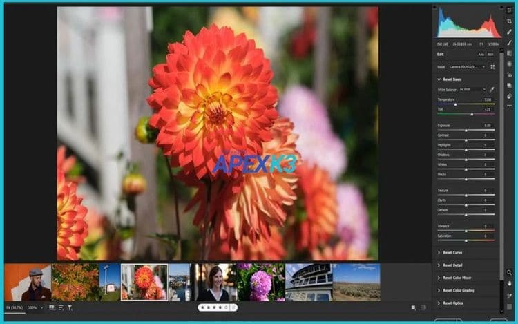 Mở Camera Raw trong Photoshop chi tiết nhanh gọn